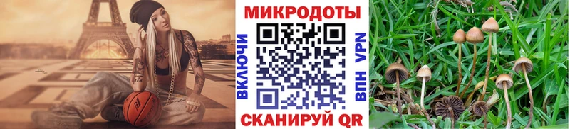 Псилоцибиновые грибы MAGIC MUSHROOMS  Пошехонье 